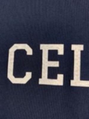 wholesale quality celine shirts model no. 26